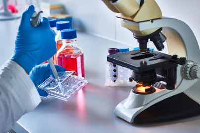 Stem cell research and cellular biology