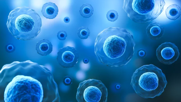 Understanding stem cells educational illustration